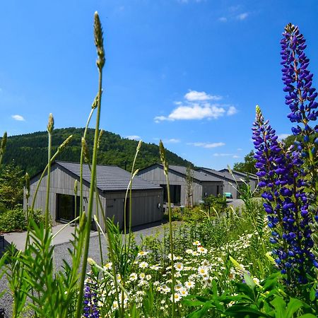 Sauerland Lodge - Haus Juliana Winterberg Buitenkant foto