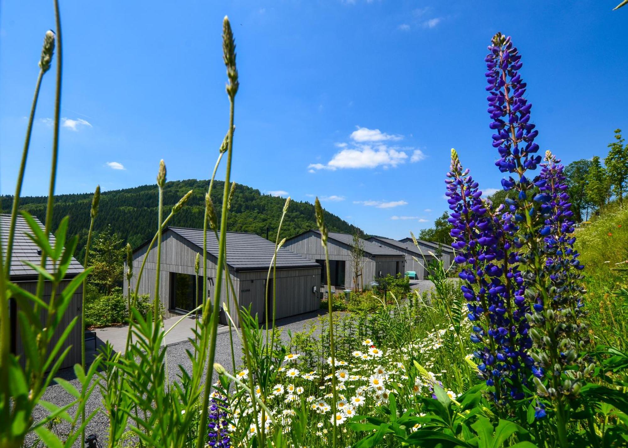 Sauerland Lodge - Haus Juliana Winterberg Buitenkant foto